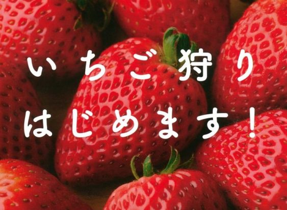 ふるや農園