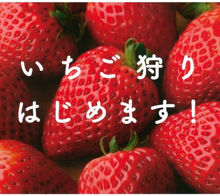 ふるや農園