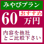 60万円プラン