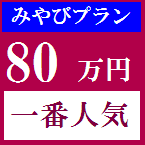 80万円プラン