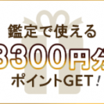 ご新規無料会員登録で鑑定に使える【3,300円】相当のポイント配布中！