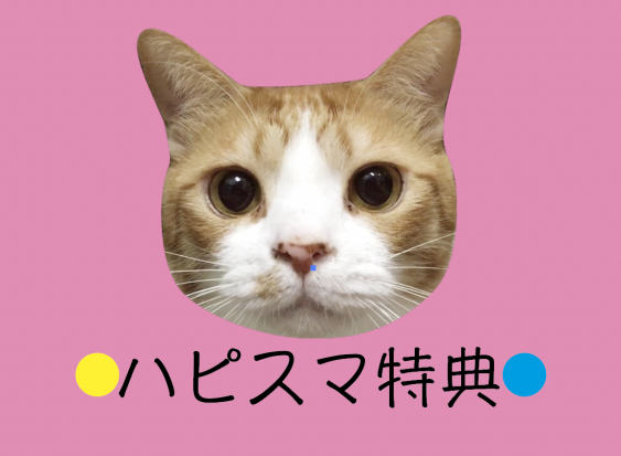 ご来店ハピスマ特典