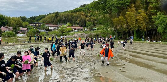 2023年5月6日　手越村プロジェクト「田植え体験」開催