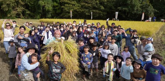 手越村３年目の稲刈りは、たくさんの子どもたちや外国人の方々と